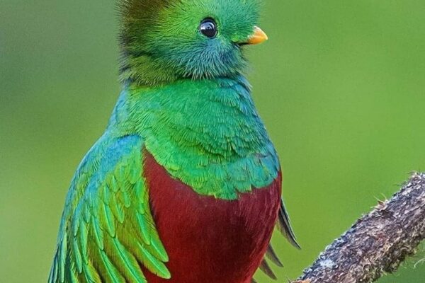 Our Sacred Planet Mother Earth in all of it’s Amazing Beauty and the Quote of the Day 46