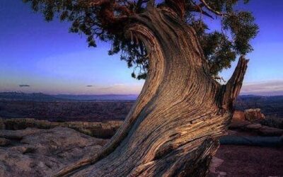 Our Sacred Planet Mother Earth in all of it’s Amazing Beauty and the Quote of the Day 59