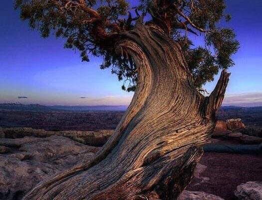 Our Sacred Planet Mother Earth in all of it’s Amazing Beauty and the Quote of the Day 59
