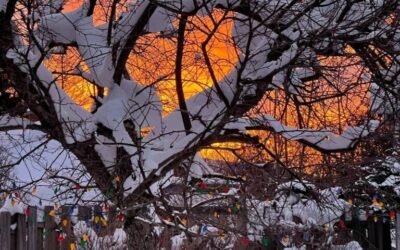 Our Sacred Planet Mother Earth in all of it’s Amazing Beauty and the Quote of the Day 70