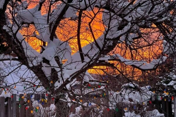Our Sacred Planet Mother Earth in all of it’s Amazing Beauty and the Quote of the Day 70