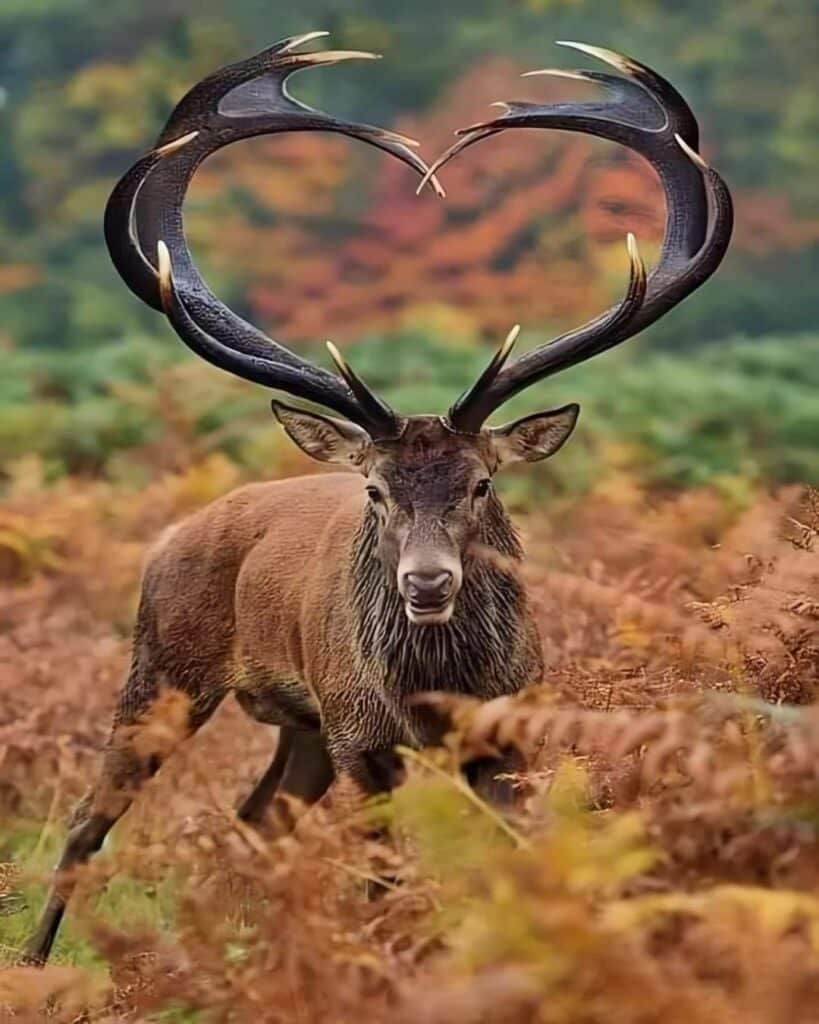 Our Sacred Planet Mother Earth in all of it’s Amazing Beauty and the Quote of the Day 68