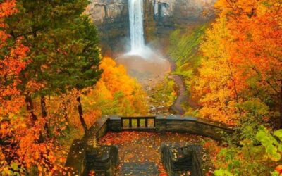 Our Sacred Planet Mother Earth in all of it’s Amazing Beauty and the Quote of the Day 64