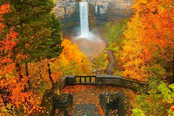 Our Sacred Planet Mother Earth in all of it’s Amazing Beauty and the Quote of the Day 64