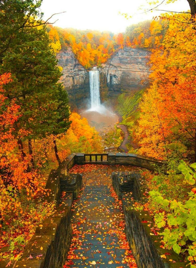Our Sacred Planet Mother Earth in all of it’s Amazing Beauty and the Quote of the Day 64