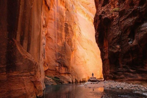Our Sacred Planet Mother Earth in all of it’s Amazing Beauty and the Quote of the Day 66