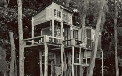 A Look At Life Inside A 1969 Tree House Village In Hawaii