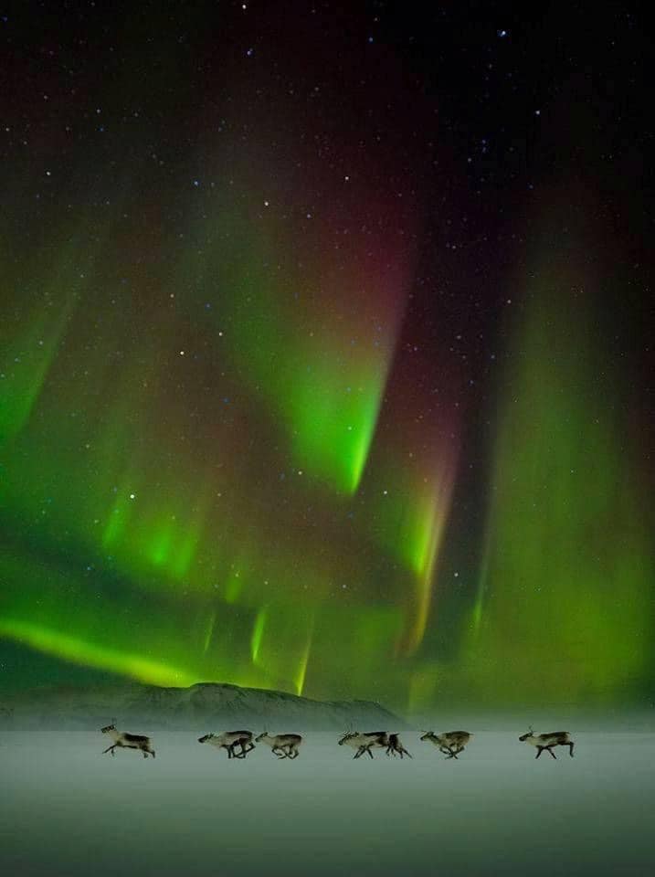 Our Sacred Planet Mother Earth in all of it’s Amazing Beauty and the Quote of the Day 61