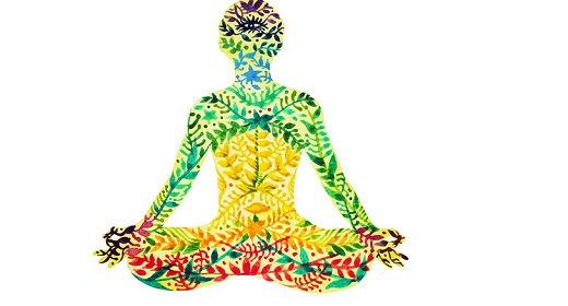 A Shamanic View Of How Ayahuasca & Nature Communicate With Us