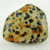 Dalmatian Jasper Helps You Discover Your True Purpose