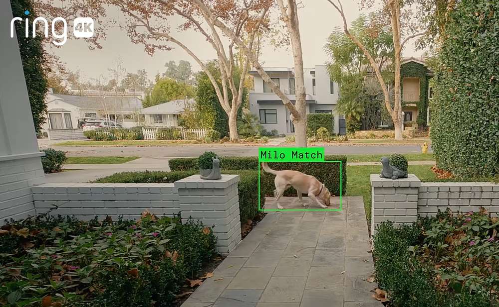 With Ring, American Consumers Built a Surveillance Dragnet