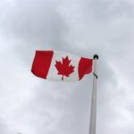 Capital concentrates as Canadian VC market narrows: report