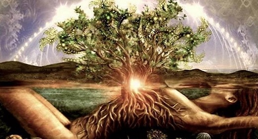 The Descent To Soul: An Overview Of The Terrain