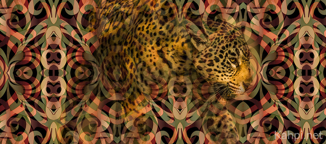 jaguar-ayahuasca