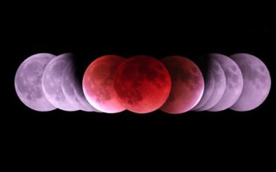 Lunar Eclipse in Virgo 2026 – and Tarot Readings for Every Zodiac Sign