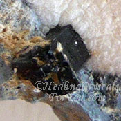 Neptunite Helps Goal Setting & Problem Solving