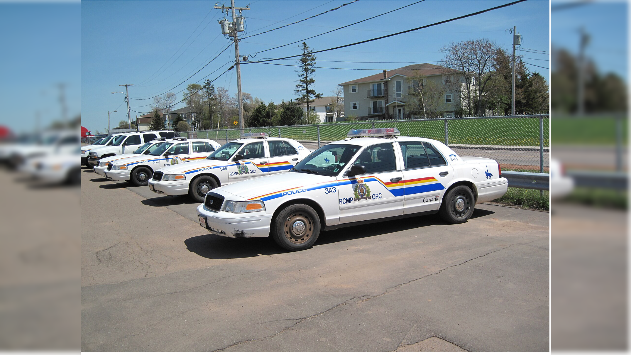 A lineup of RCMP police cars parked in a lot, showcasing their distinctive markings and design against a clear blue sky.