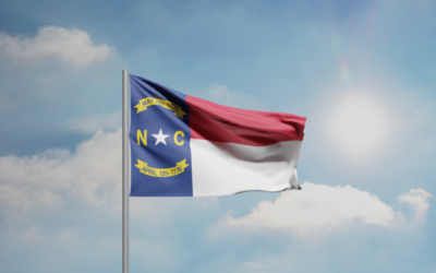 GOP Congressional Primary Candidate in NC Openly Admits She is a Fake Republican: “I am a Progressive”  (Video)
