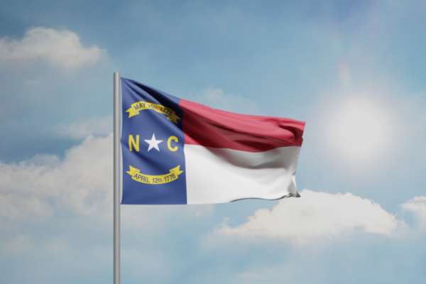 GOP Congressional Primary Candidate in NC Openly Admits She is a Fake Republican: “I am a Progressive”  (Video)
