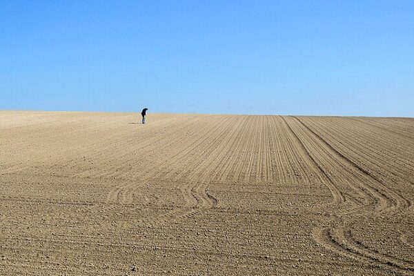 Mystical Gog Magog Hills & Famed T. C. Lethbridge’s Intriguing Claims