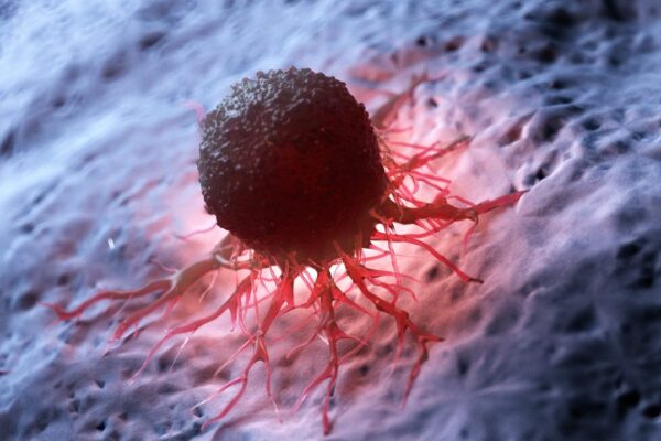 Cancer-fighting bacteria: how engineered microbes could “eat” tumors from the inside out