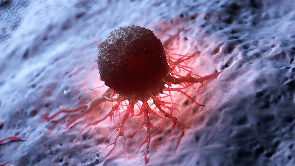 Cancer-fighting bacteria: how engineered microbes could “eat” tumors from the inside out