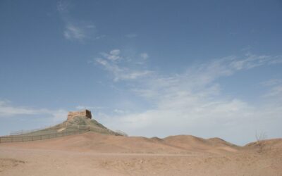 China’s Great Green Wall turns Taklamakan desert into a growing carbon sink