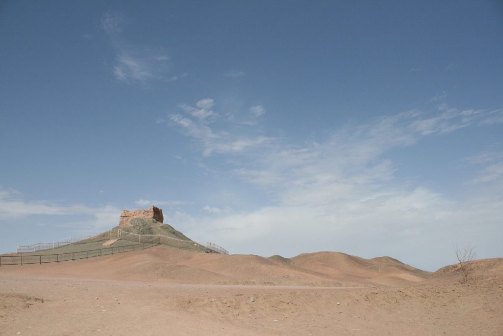 China’s Great Green Wall turns Taklamakan desert into a growing carbon sink