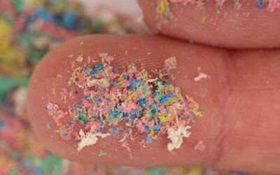 The high school student whose filter uses magnetic oil to trap microplastics