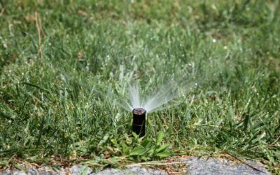 When to turn sprinklers on after winter (and how to avoid costly damage to lawn and home)