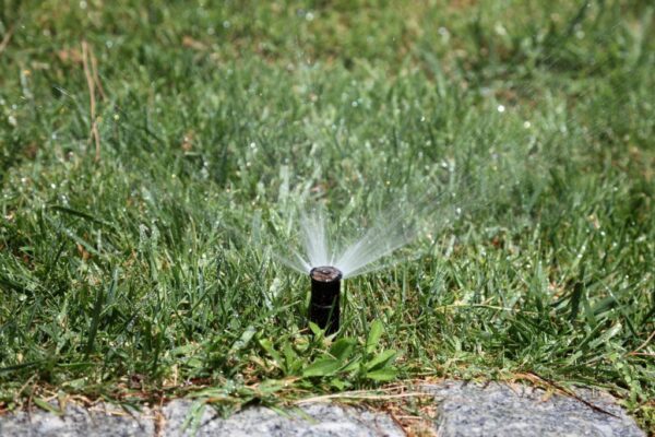 When to turn sprinklers on after winter (and how to avoid costly damage to lawn and home)