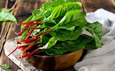 Are Oxalates Bad for You? And Should You Avoid Foods that are High in Oxalates?