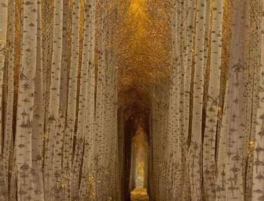 Our Sacred Planet Mother Earth in all of it’s Amazing Beauty and the Quote of the Day 79