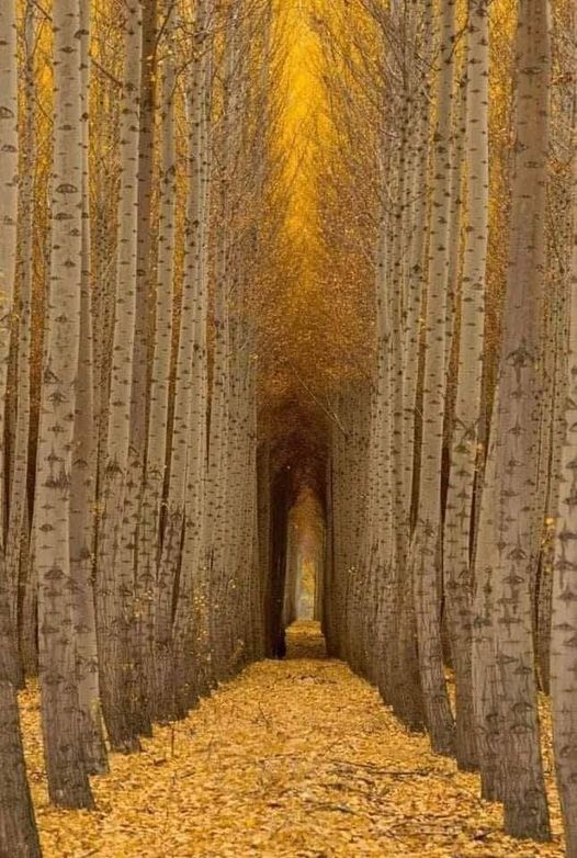 Our Sacred Planet Mother Earth in all of it’s Amazing Beauty and the Quote of the Day 79