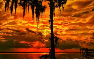 Our Sacred Planet Mother Earth in all of it’s Amazing Beauty and the Quote of the Day 83