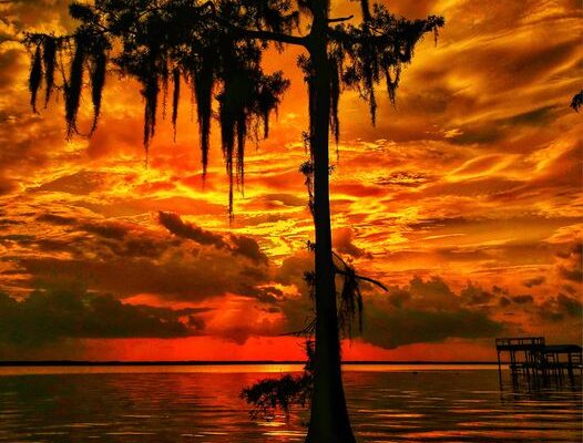 Our Sacred Planet Mother Earth in all of it’s Amazing Beauty and the Quote of the Day 83