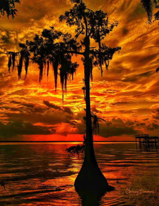 Our Sacred Planet Mother Earth in all of it’s Amazing Beauty and the Quote of the Day 83
