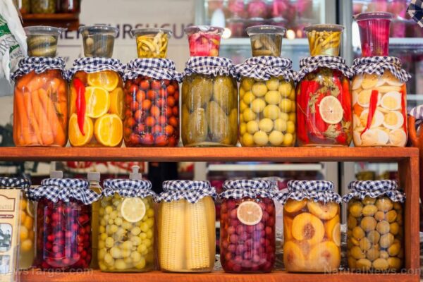 The practical prepper pantry: Simple, efficient food storage for peace of mind