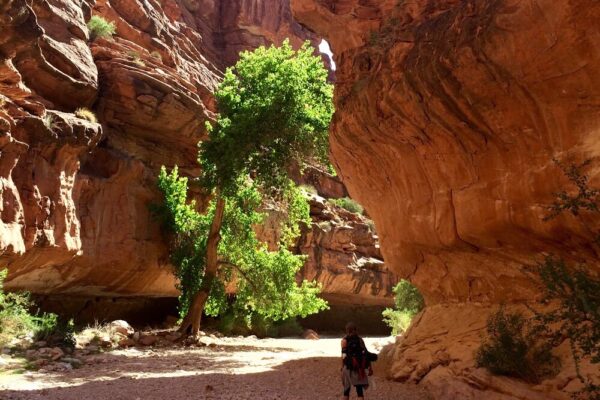 Do It Before You Die: Hike to Havasu Falls