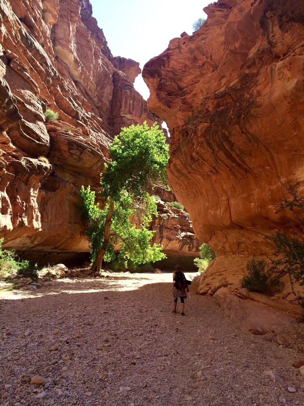 Do It Before You Die: Hike to Havasu Falls