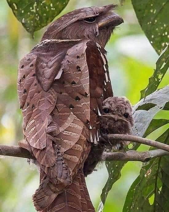 Our Sacred Planet Mother Earth in all of it’s Amazing Beauty and the Quote of the Day 94