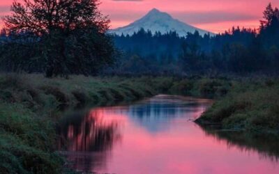Our Sacred Planet Mother Earth in all of it’s Amazing Beauty and the Quote of the Day 67