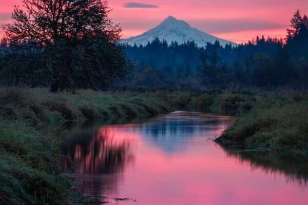 Our Sacred Planet Mother Earth in all of it’s Amazing Beauty and the Quote of the Day 67