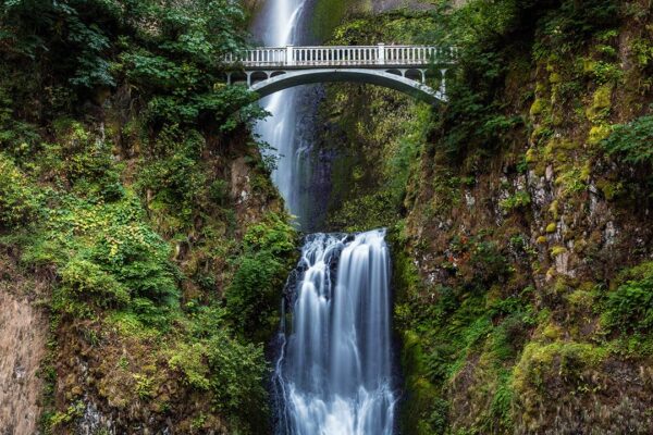 Our Sacred Planet Mother Earth in all of it’s Amazing Beauty and the Quote of the Day 92