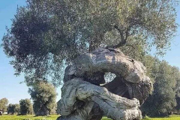 Our Sacred Planet Mother Earth in all of it’s Amazing Beauty and the Quote of the Day 84
