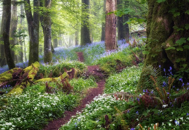 Our Sacred Planet Mother Earth in all of it’s Amazing Beauty and the Quote of the Day 77