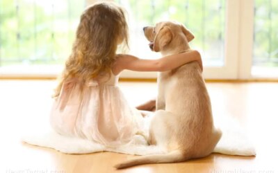“The Truth About Pet Cancer” on BrightU: How owner emotions directly weaken a pet’s immune system