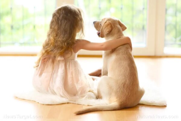 “The Truth About Pet Cancer” on BrightU: How owner emotions directly weaken a pet’s immune system