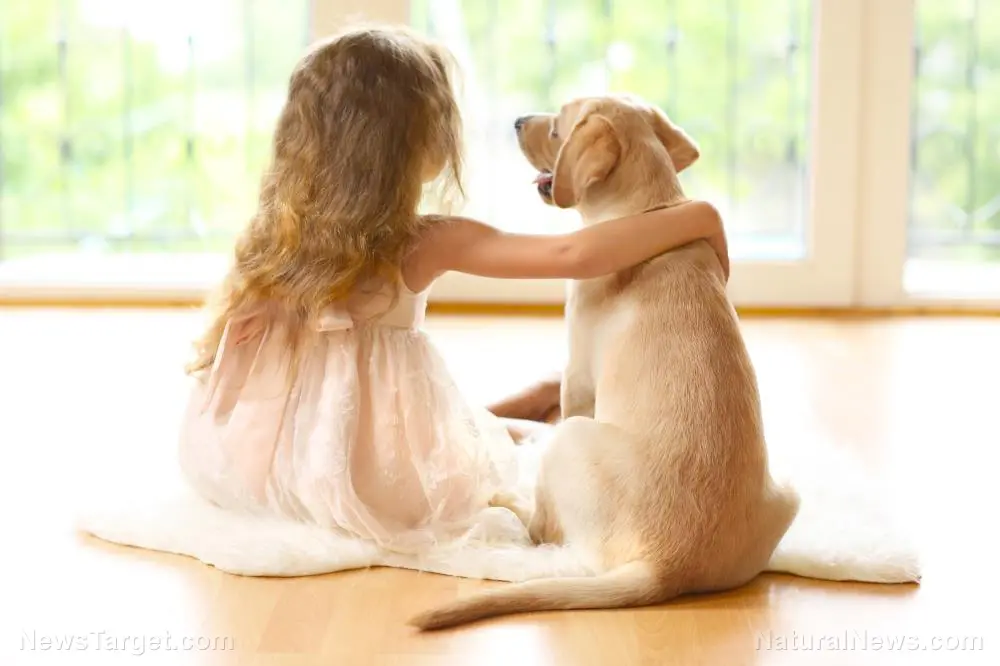 “The Truth About Pet Cancer” on BrightU: How owner emotions directly weaken a pet’s immune system