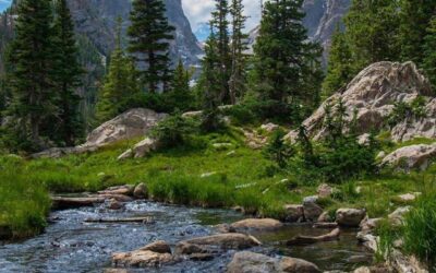 Our Sacred Planet Mother Earth in all of it’s Amazing Beauty and the Quote of the Day 91